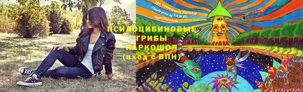 spice Балабаново