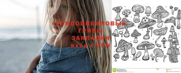 spice Балабаново