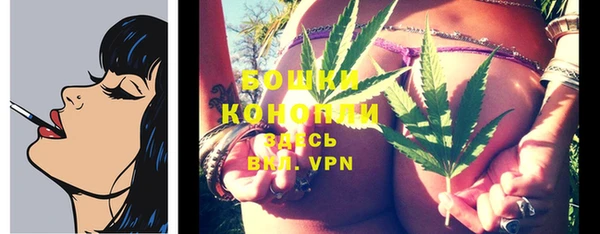 spice Балабаново